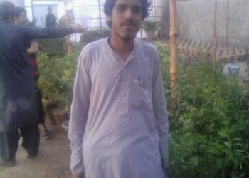 stand shoulder to shoulder with each other no one can defeat us