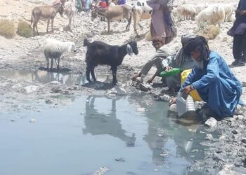 CTD detains woman from Kech, CPEC route blocked in protest