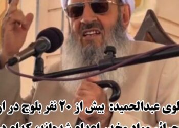 Maulvi Abdul Hamid: More than 20 Baloch people have been executed