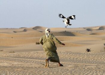 Roadside bomb kills two soldiers guarding Qatari royal hunting party in Balochistan